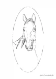 Ausmalbild Pferd Kopf