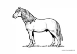 Ausmalbild Pferd mit schöner Mähne