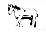 Ausmalbild Pferd mit schwarzer Mähne