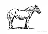Ausmalbild Pony von der Seite