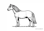 Ausmalbild Schönes Pony