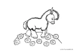 Ausmalbild Shetland Pony auf Blumenwiese
