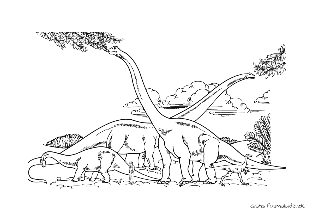 Ausmalbild Drei Diplodocus Dinosaurier