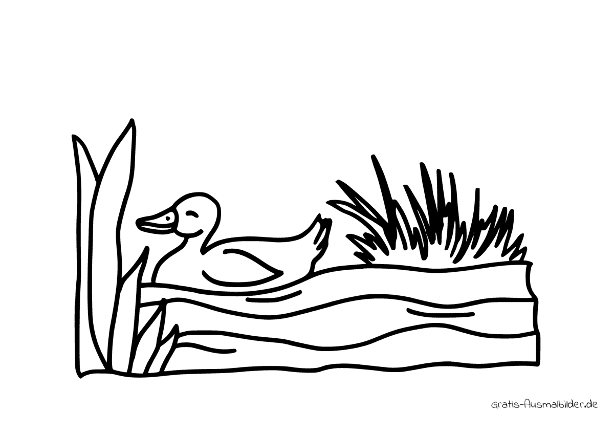 Ausmalbild Ente im Wasser