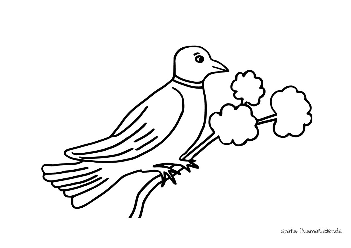 Ausmalbild Vogel sitzt auf einem Ast mit drei Büscheln