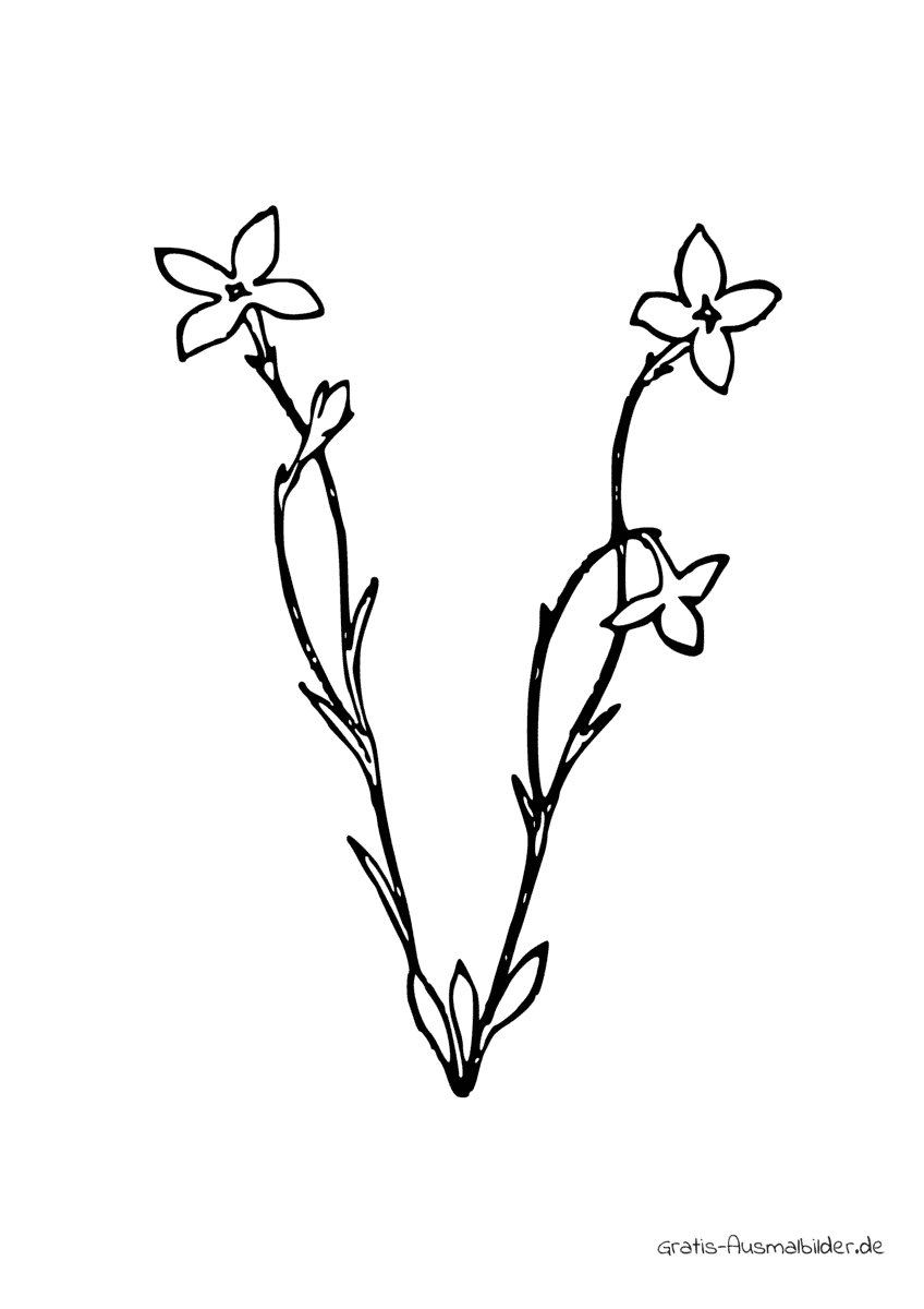 Ausmalbild V aus drei Blumen