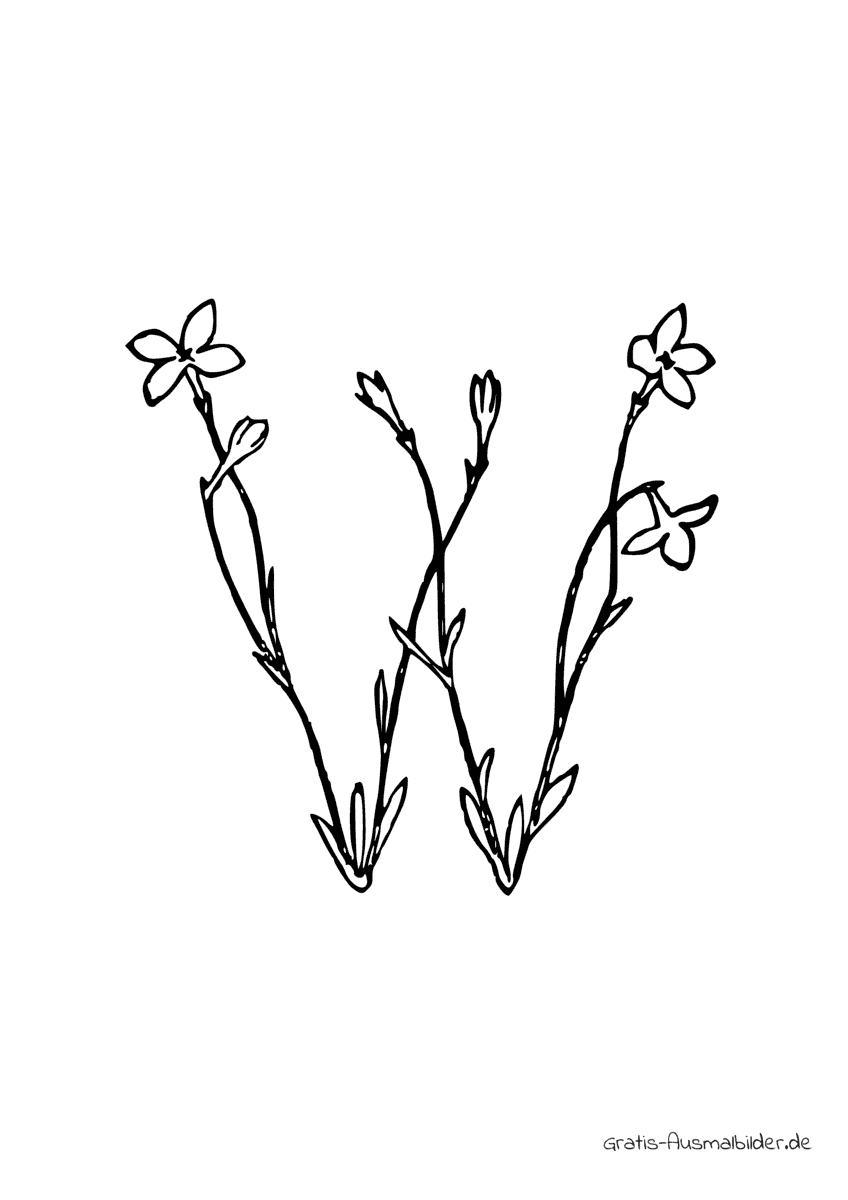 Ausmalbild W aus drei Blumen