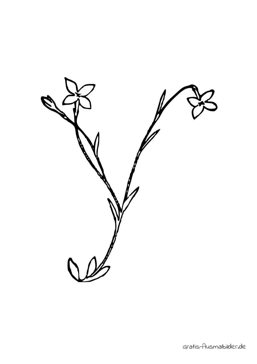 Ausmalbild Y aus drei Blumen
